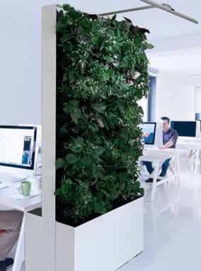 Living wall indoors