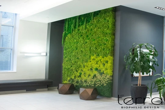 Plant Styling and Moss Walls Winnipeg