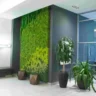 small spaces living walls